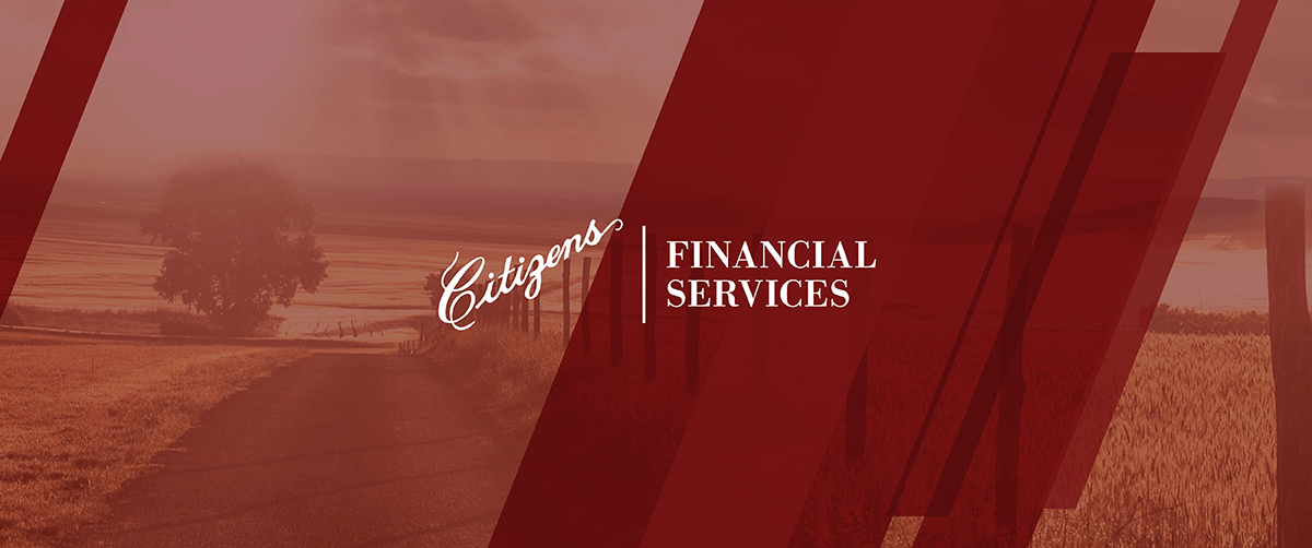 Citizens Financial Services Investment Brochure